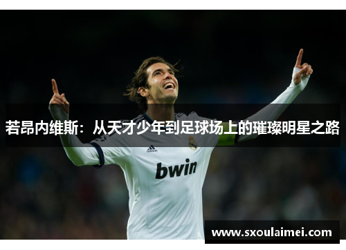 若昂内维斯：从天才少年到足球场上的璀璨明星之路